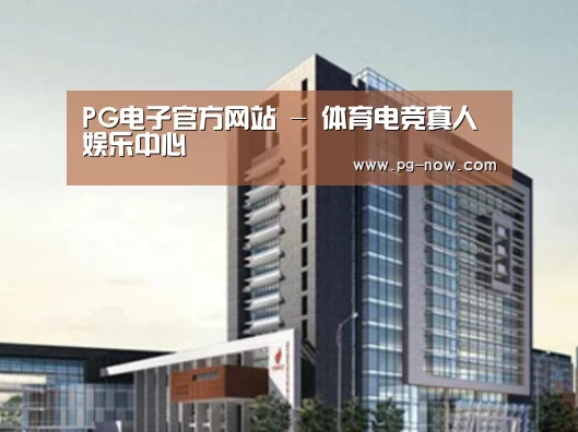 PG电子案例展示四