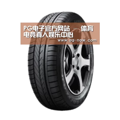 PG电子产品名称一